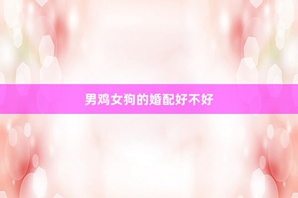 男鸡女狗的婚配好不好