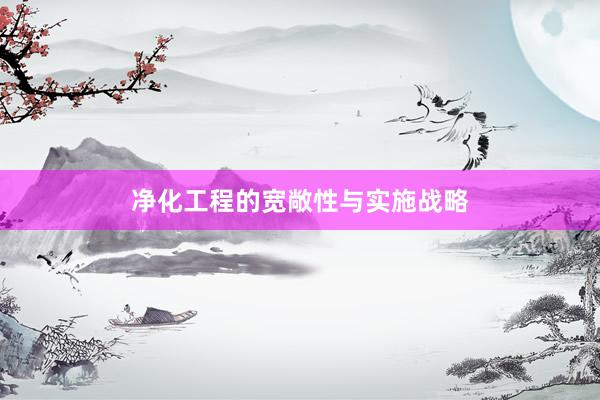 净化工程的宽敞性与实施战略